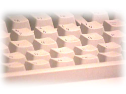 Input Device