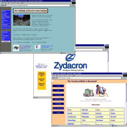Website Snapshots